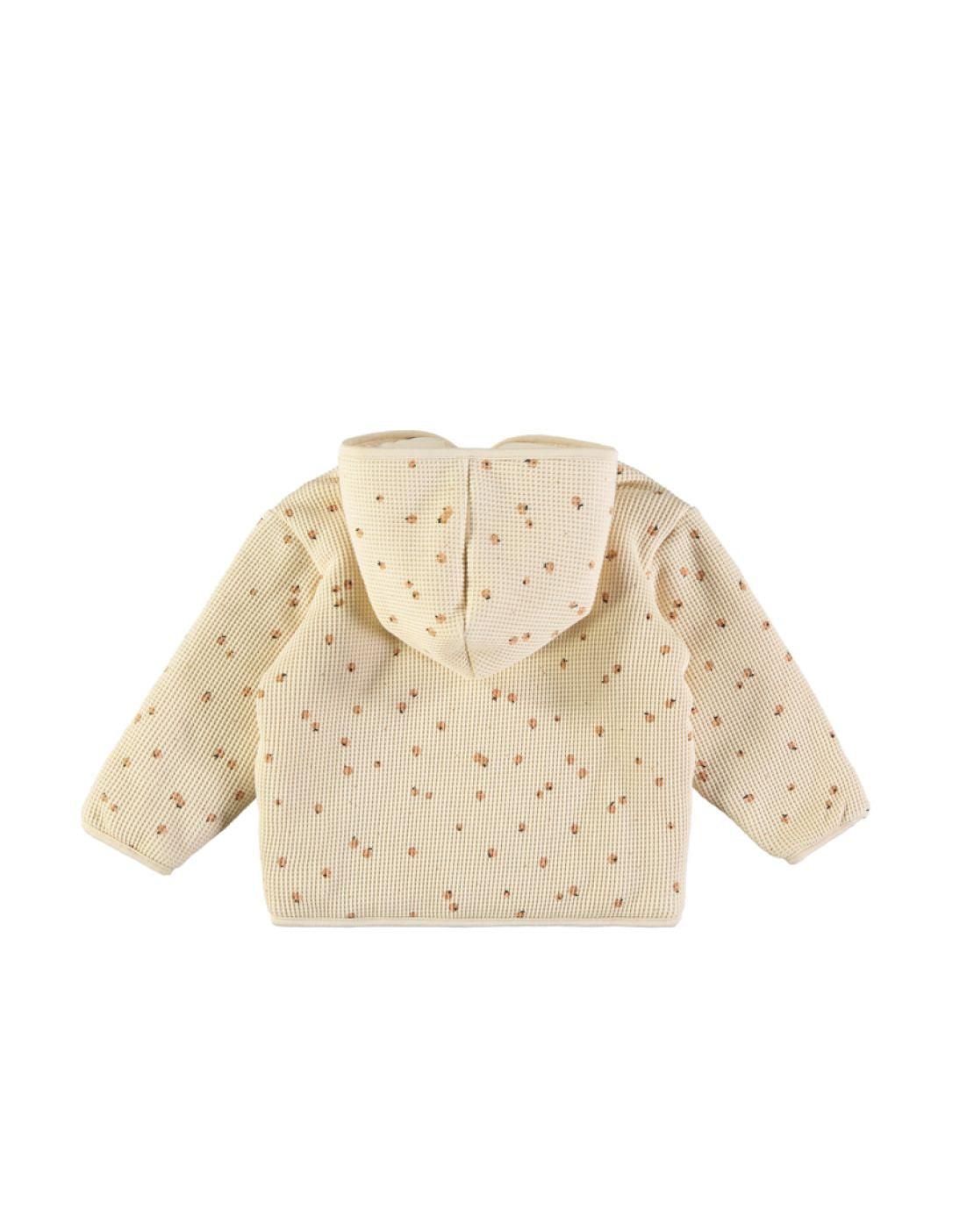 Chaqueta acolchada - LITTLE FRUITS CINNAMON