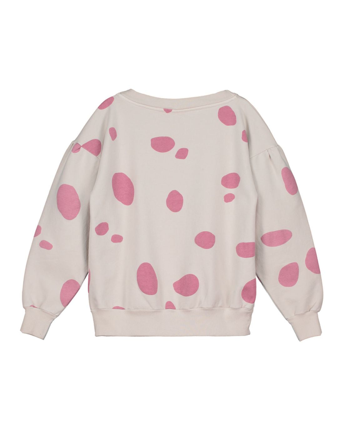 Sudadera PAINT GRAPE