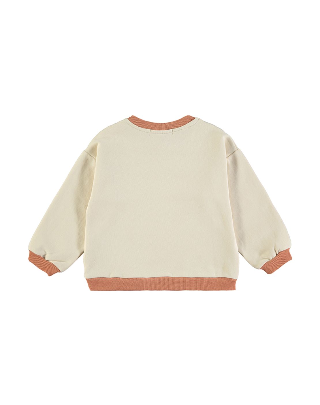 Sweatshirt<br>DISCOVER