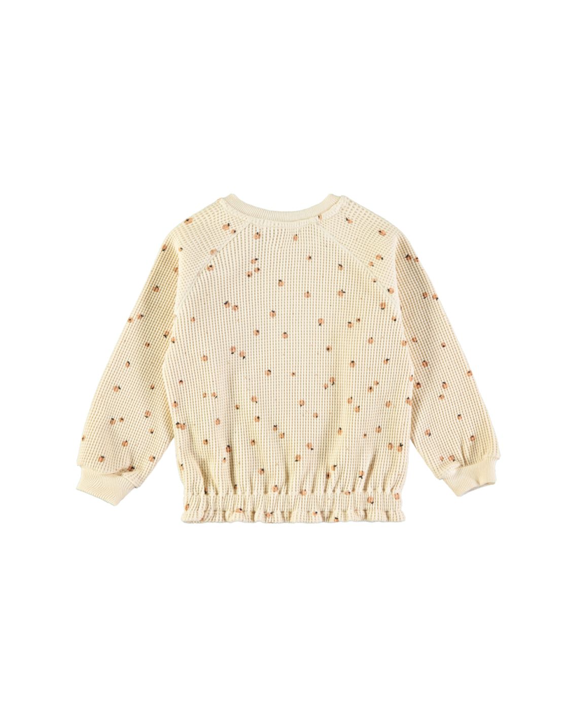 Sudadera - LITTLE FRUITS CINNAMON