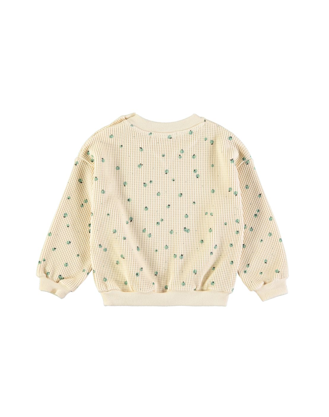 Sudadera - LITTLE FRUITS GREEN