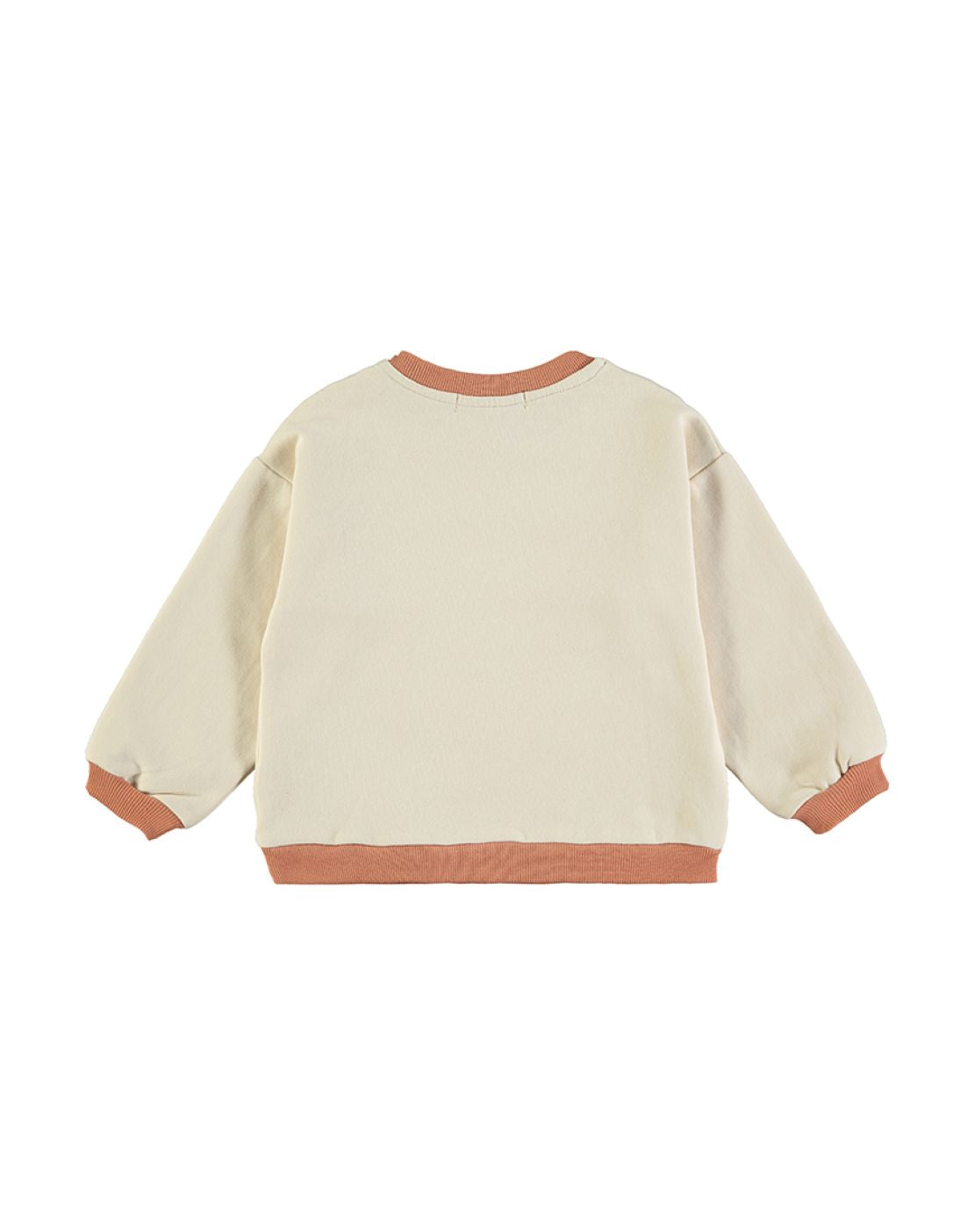 Sudadera - DISCOVER