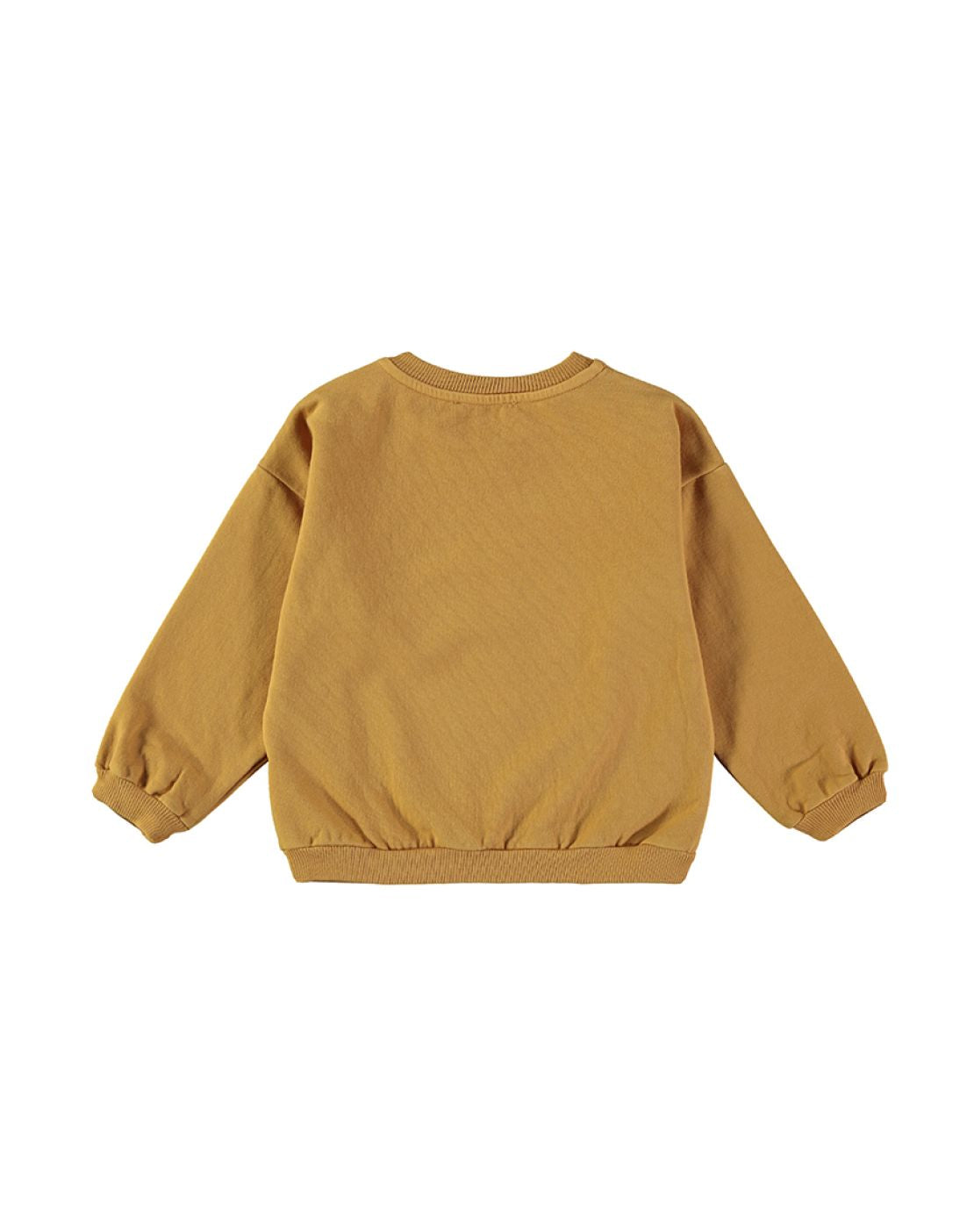 Sudadera - CURIOUS