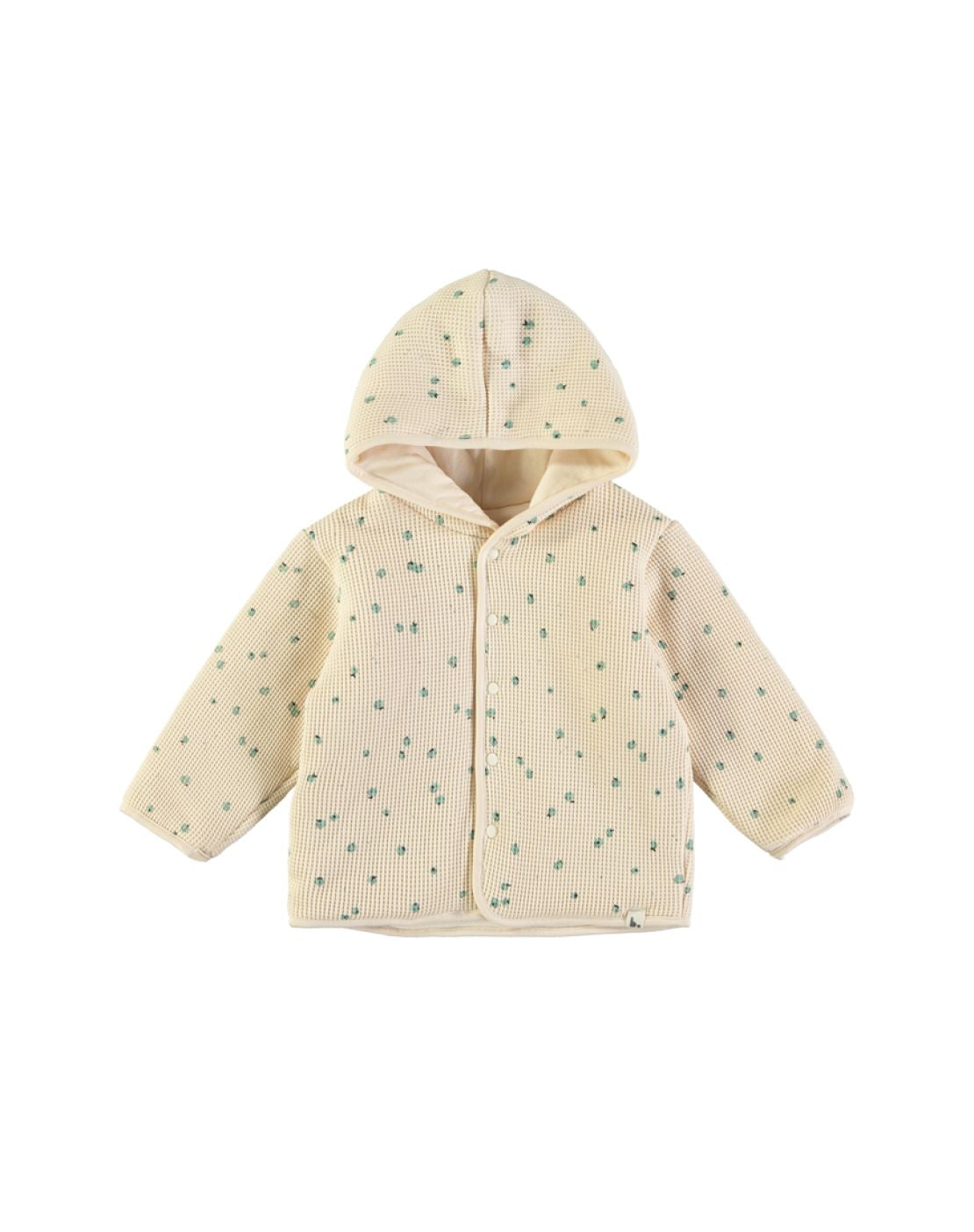 Chaqueta acolchada - LITTLE FRUITS GREEN