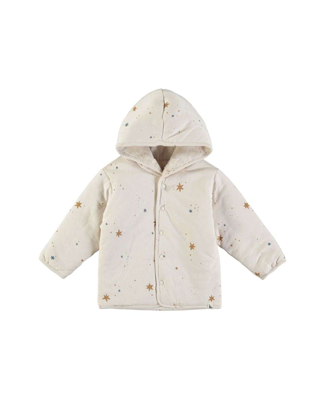 Chaqueta acolchada - FIVE STARS