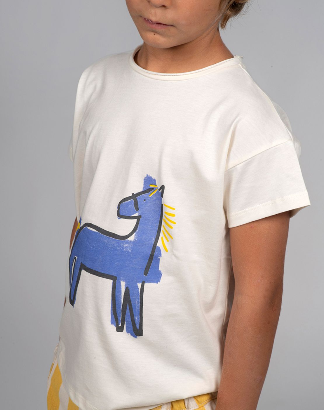 Camiseta - CABALLO