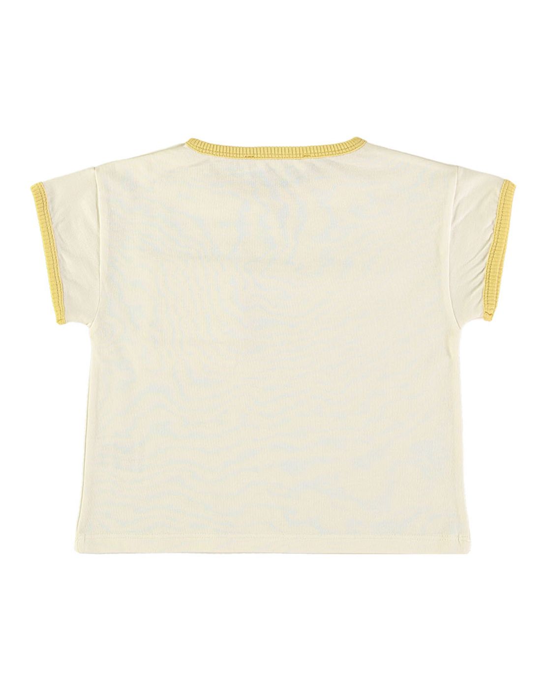 Camiseta - LEMON RIBS